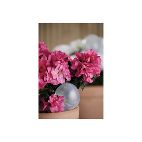 Grouw selvvandingskugler (2 stk.)