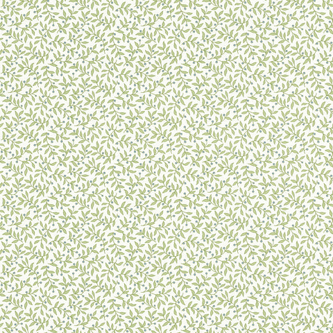 Bærgren, Studio 24 vol. 1