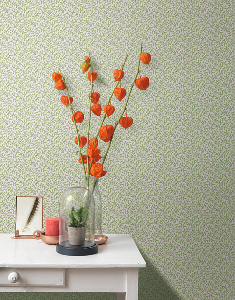 Bærgren, Studio 24 vol. 1