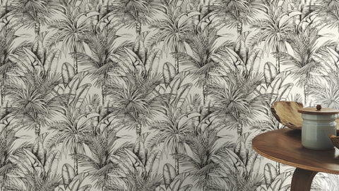 Palme, Studio 24 vol. 1