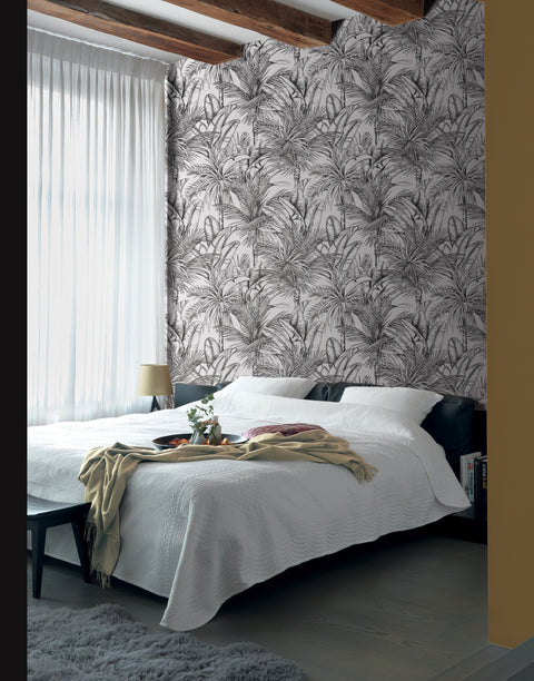 Palme, Studio 24 vol. 1