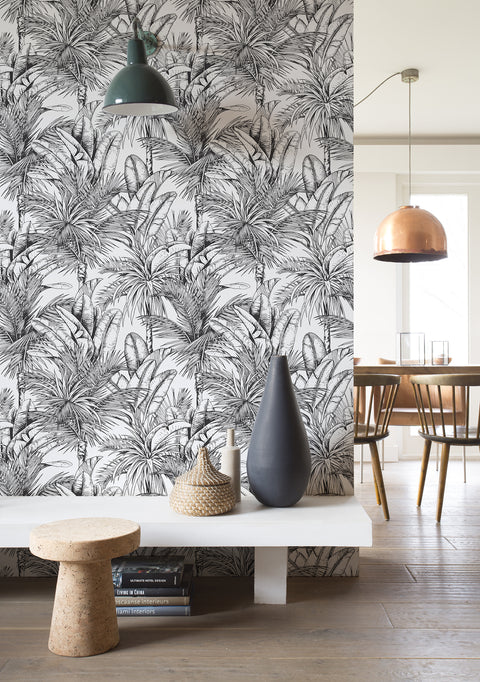 Palme, Studio 24 vol. 1