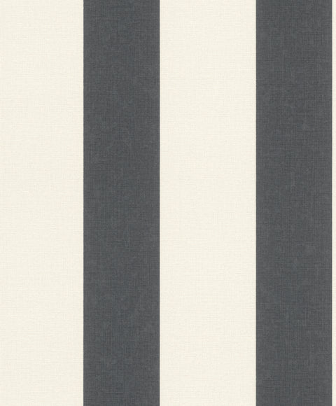 Striber, Studio 24 vol. 1