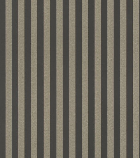 Striber, Studio 24 vol. 1