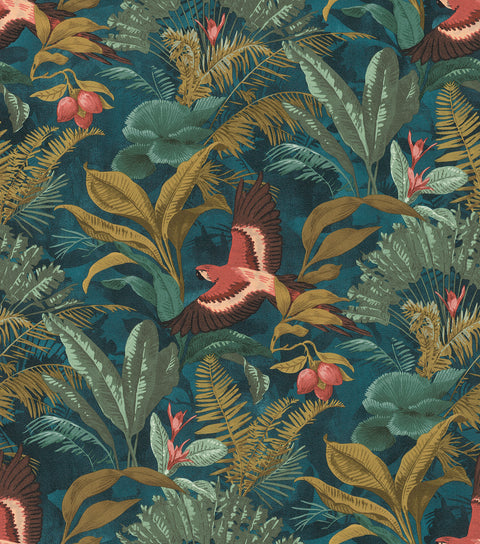 Jungle, Studio 24 vol. 1