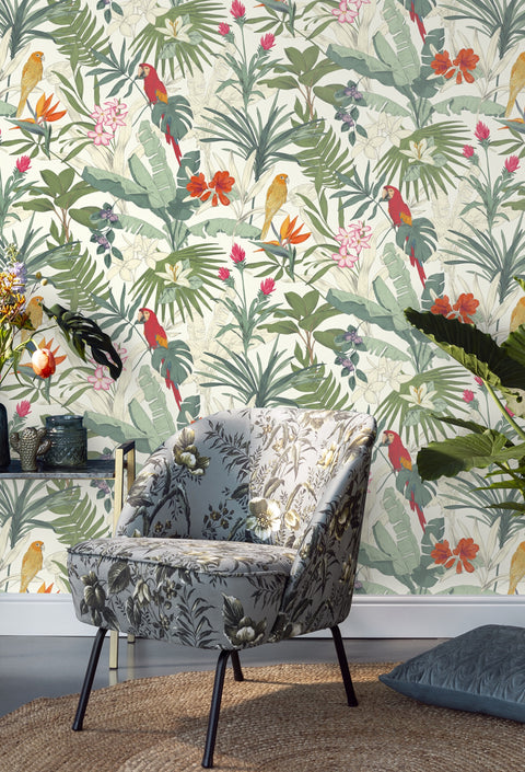 Jungle, Studio 24 vol. 1