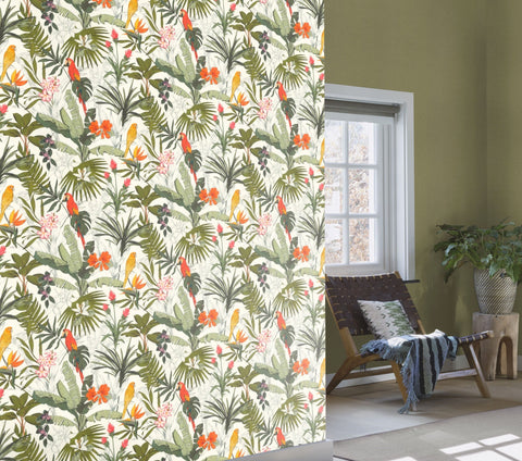 Jungle, Studio 24 vol. 1