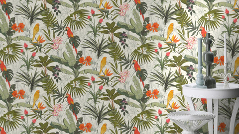 Jungle, Studio 24 vol. 1