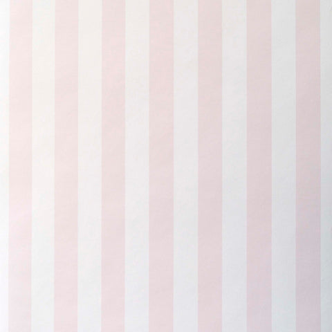 Stribet Lyserød, Studio 24 vol. 1