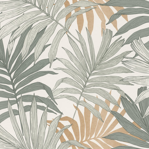 Palmeblad, Studio 24 vol. 1