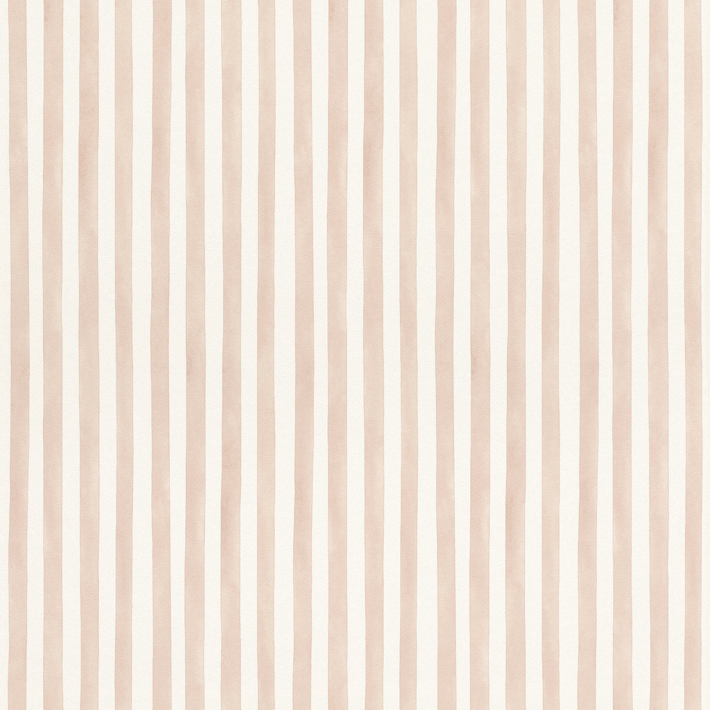 Striber, Studio 24 vol. 2