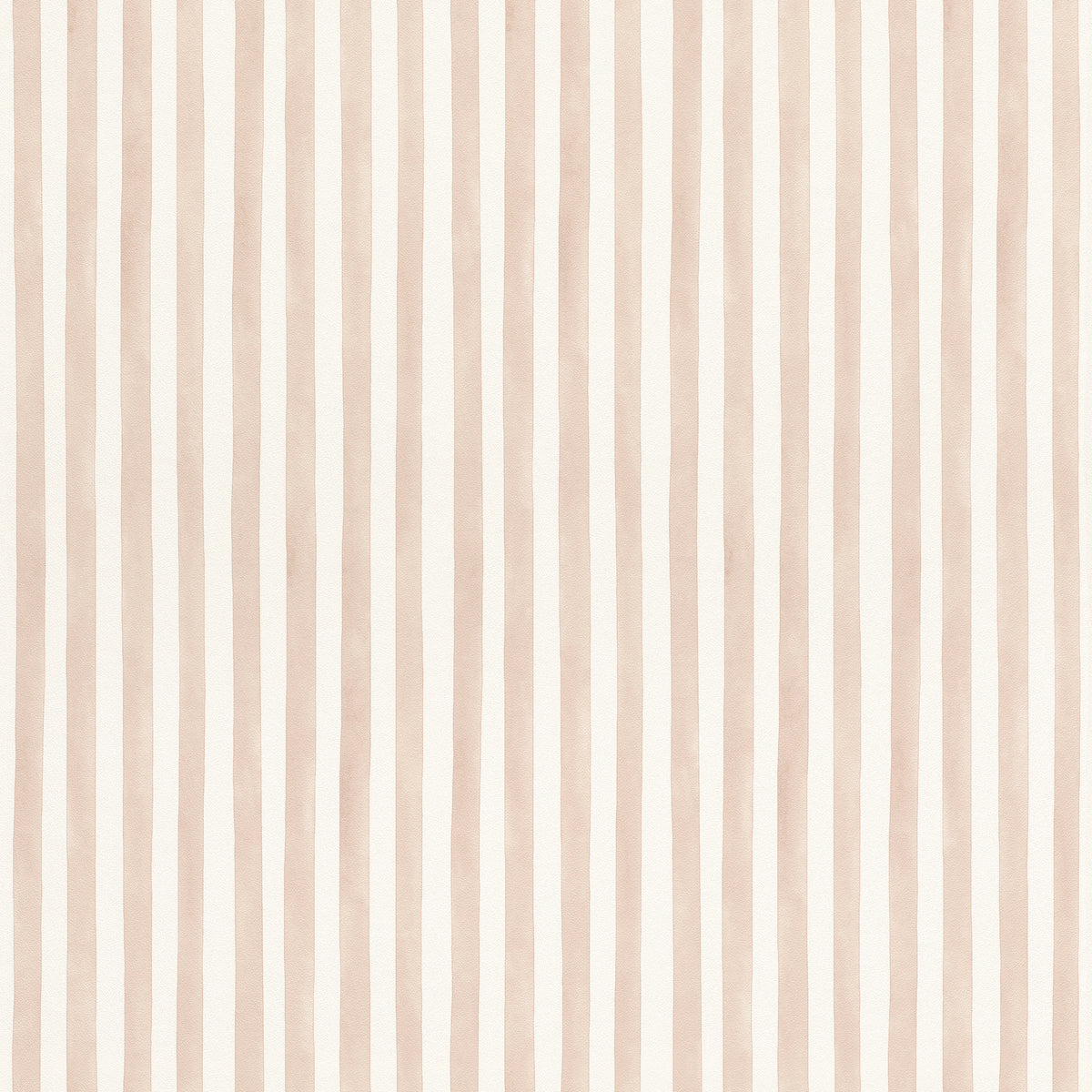 Striber, Studio 24 vol. 2