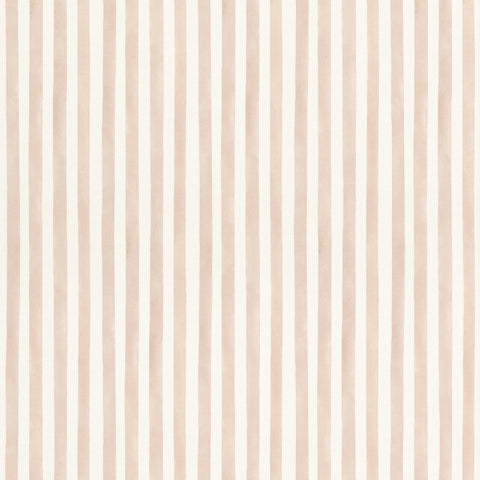 Striber, Studio 24 vol. 2