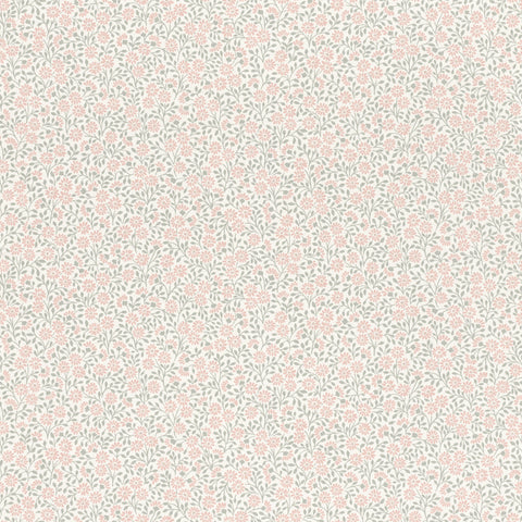 Lille blomst, Studio 24 vol. 1