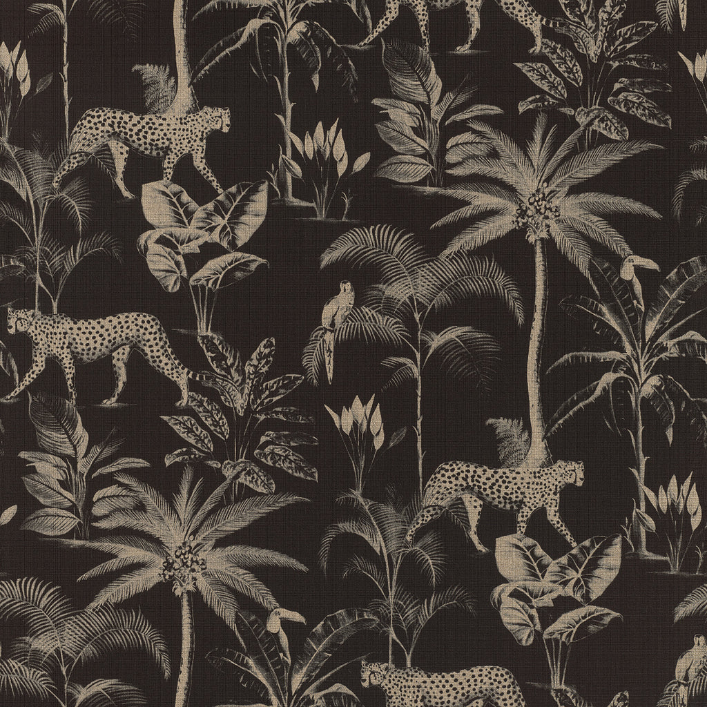 Jungle, Studio 24 vol. 1