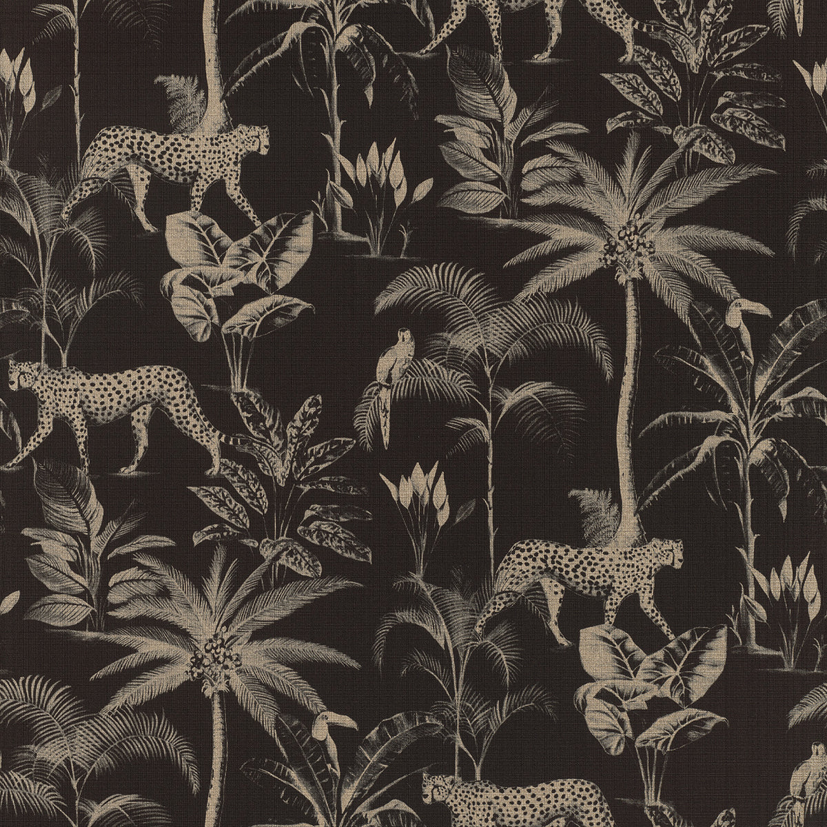 Jungle, Studio 24 vol. 1