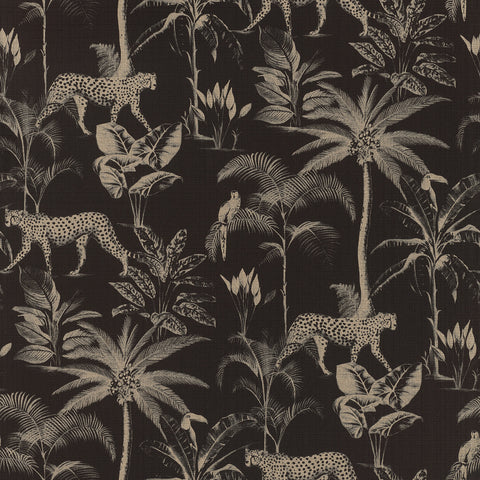 Jungle, Studio 24 vol. 1