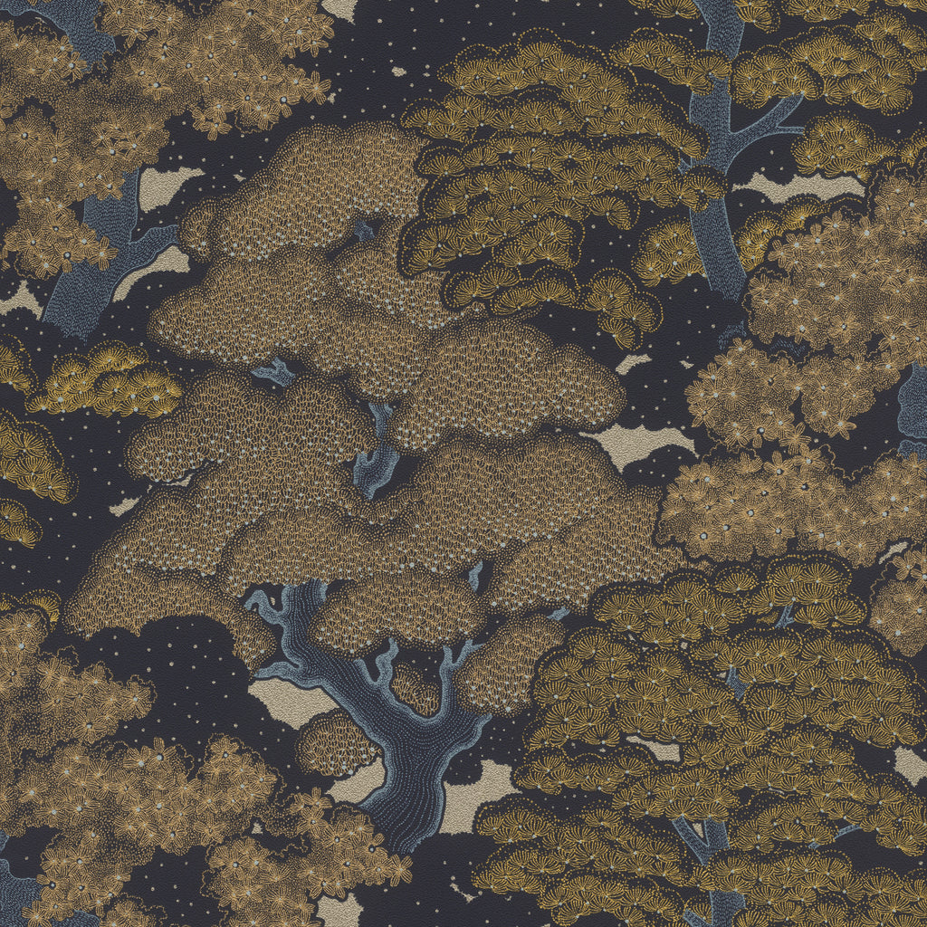 Natur, Studio 24 vol. 1