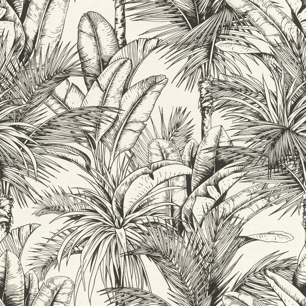 Palme, Studio 24 vol. 1