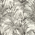 Palme, Studio 24 vol. 1