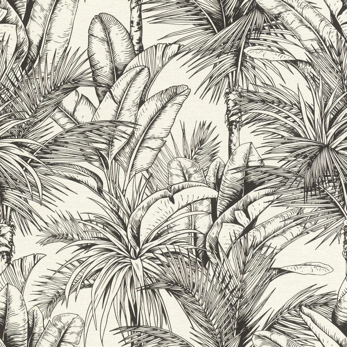Palme, Studio 24 vol. 1