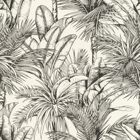Palme, Studio 24 vol. 1