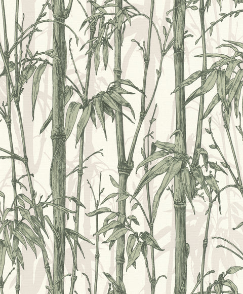 Bambus, Studio 24 vol. 1