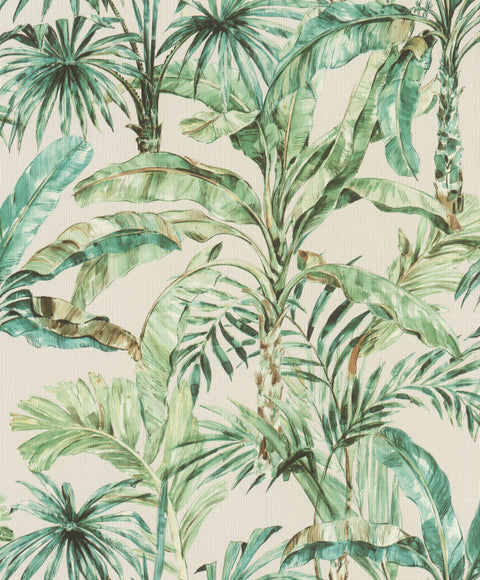 Palme, Studio 24 vol. 1