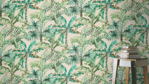 Palme, Studio 24 vol. 1