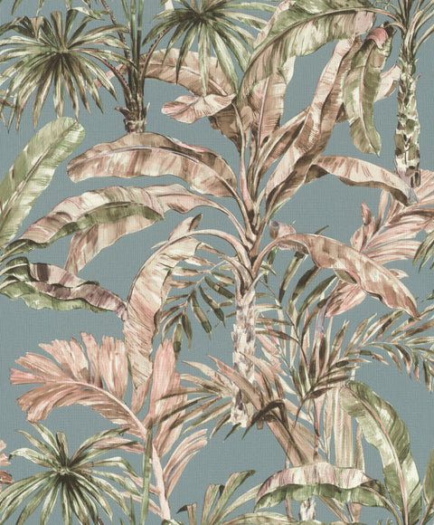 Palme, Studio 24 vol. 1
