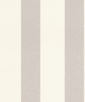 Striber, Studio 24 vol. 1