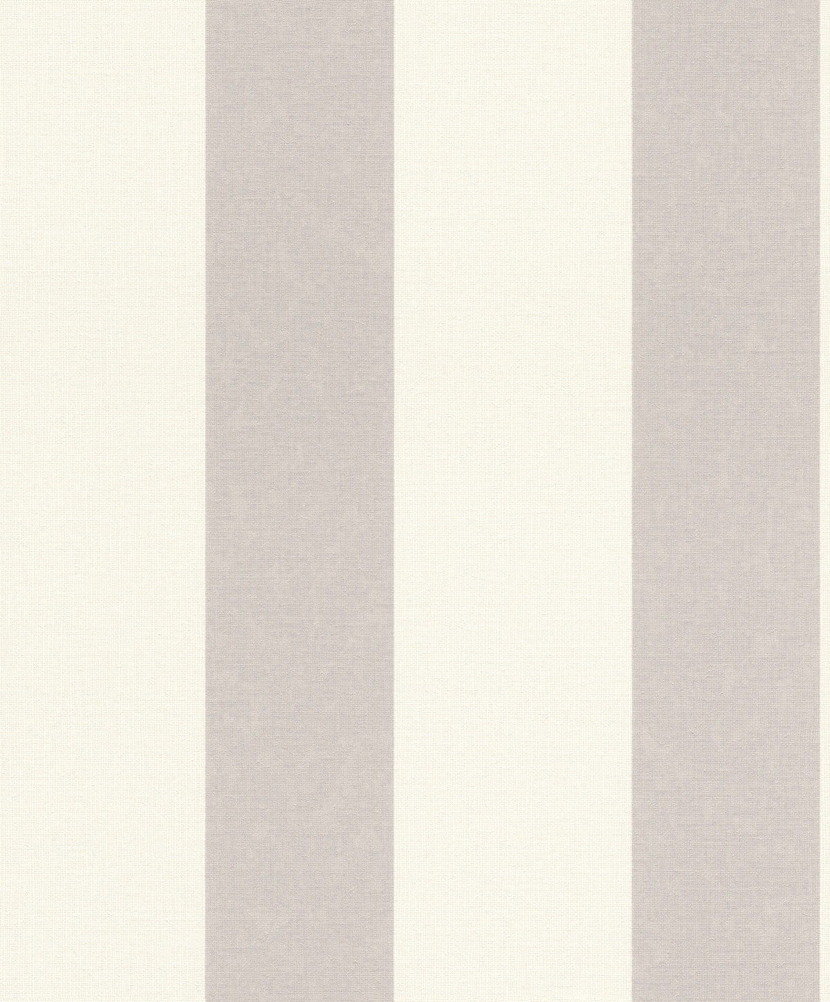 Striber, Studio 24 vol. 1