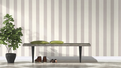 Striber, Studio 24 vol. 1