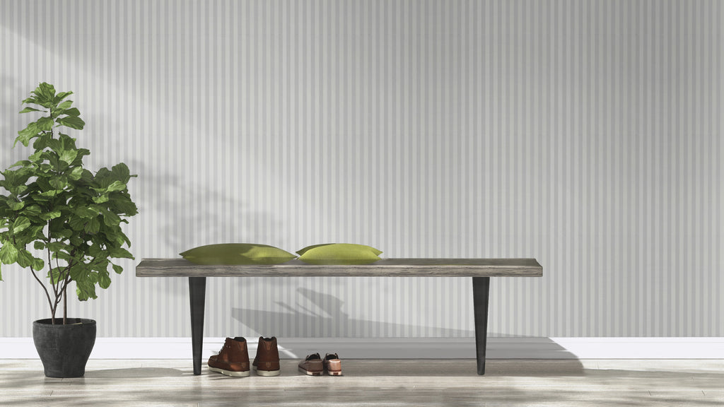 Striber, Studio 24 vol. 1