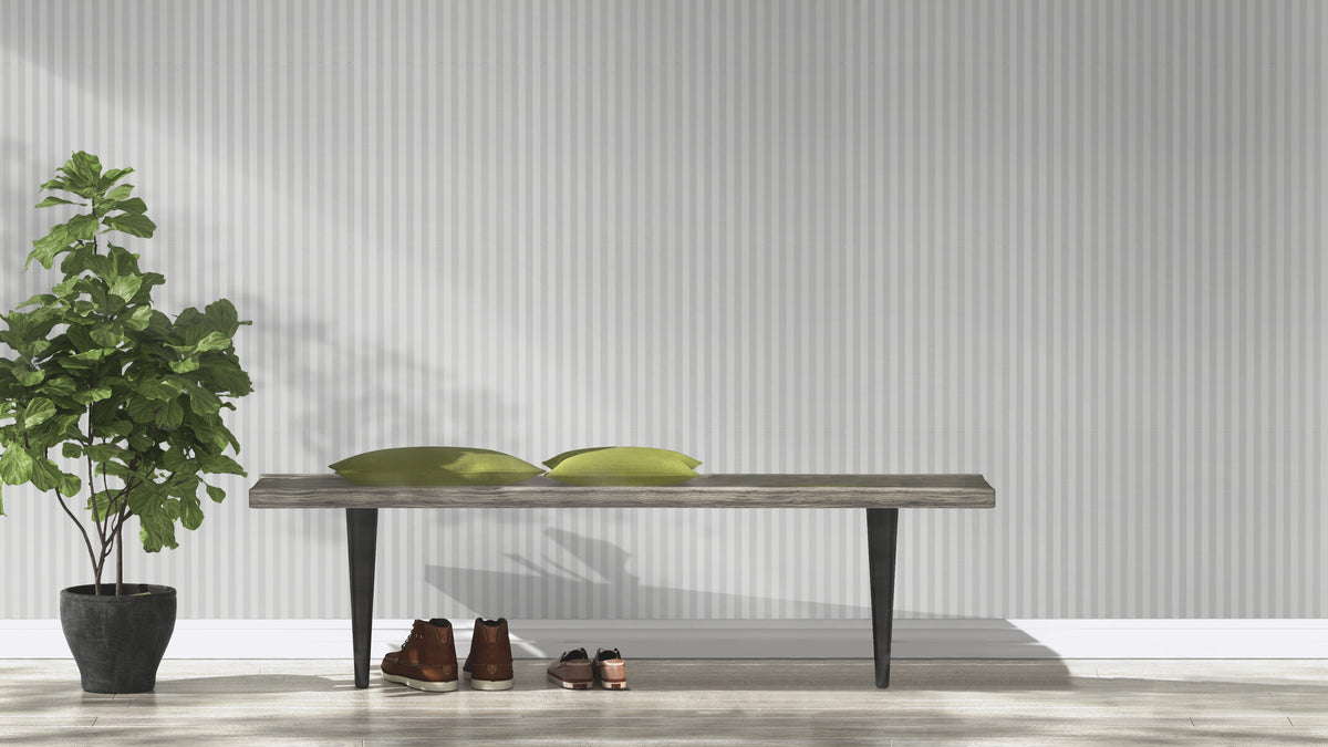 Striber, Studio 24 vol. 1