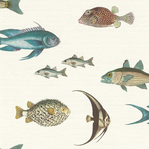 Fisk, Studio 24 vol. 1