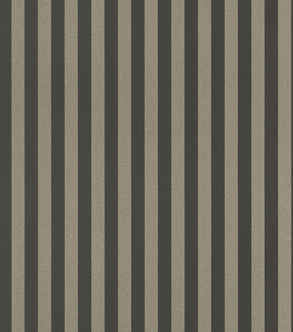 Striber, Studio 24 vol. 1