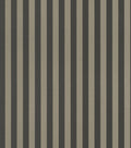 Striber, Studio 24 vol. 1