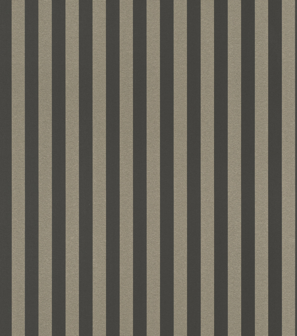Striber, Studio 24 vol. 1