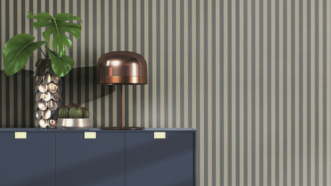 Striber, Studio 24 vol. 1