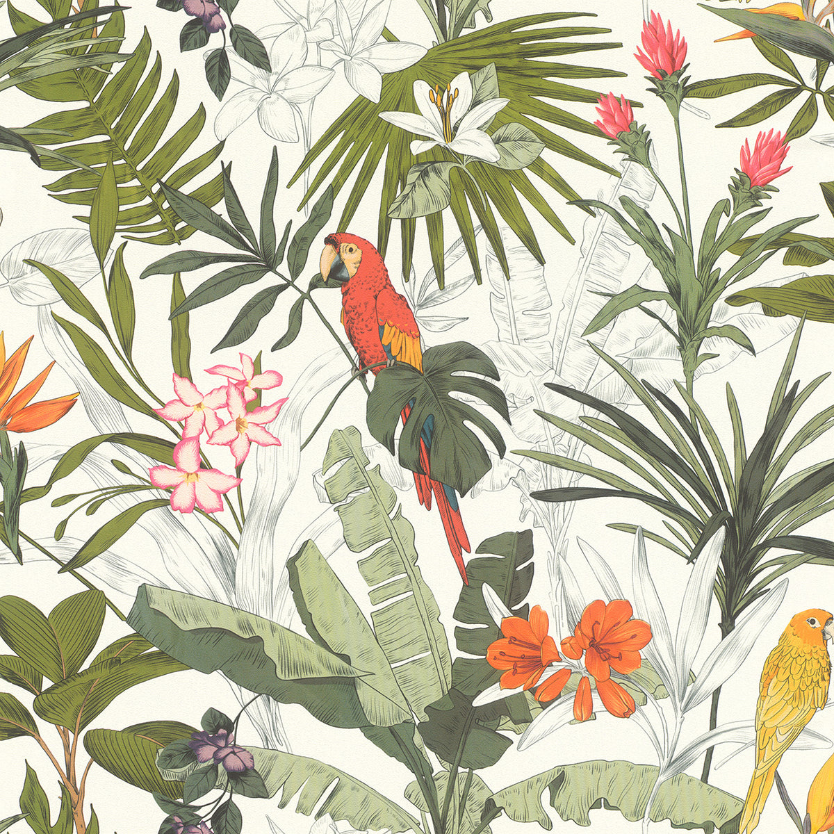 Jungle, Studio 24 vol. 1