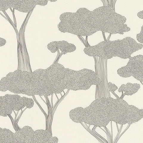 Natur, Studio 24 vol. 1