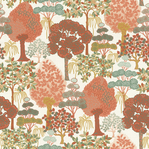 Natur, Studio 24 vol. 1