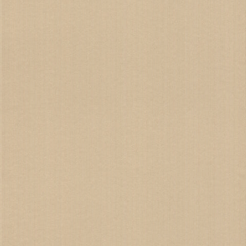 Striber, Studio 24 vol. 1