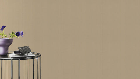 Striber, Studio 24 vol. 1