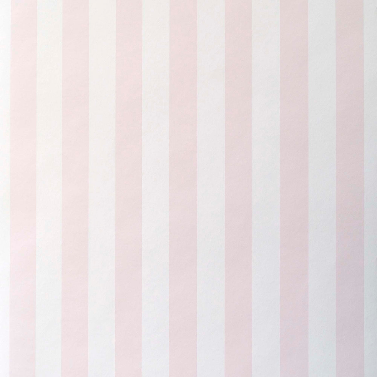 Stribet Lyserød, Studio 24 vol. 1